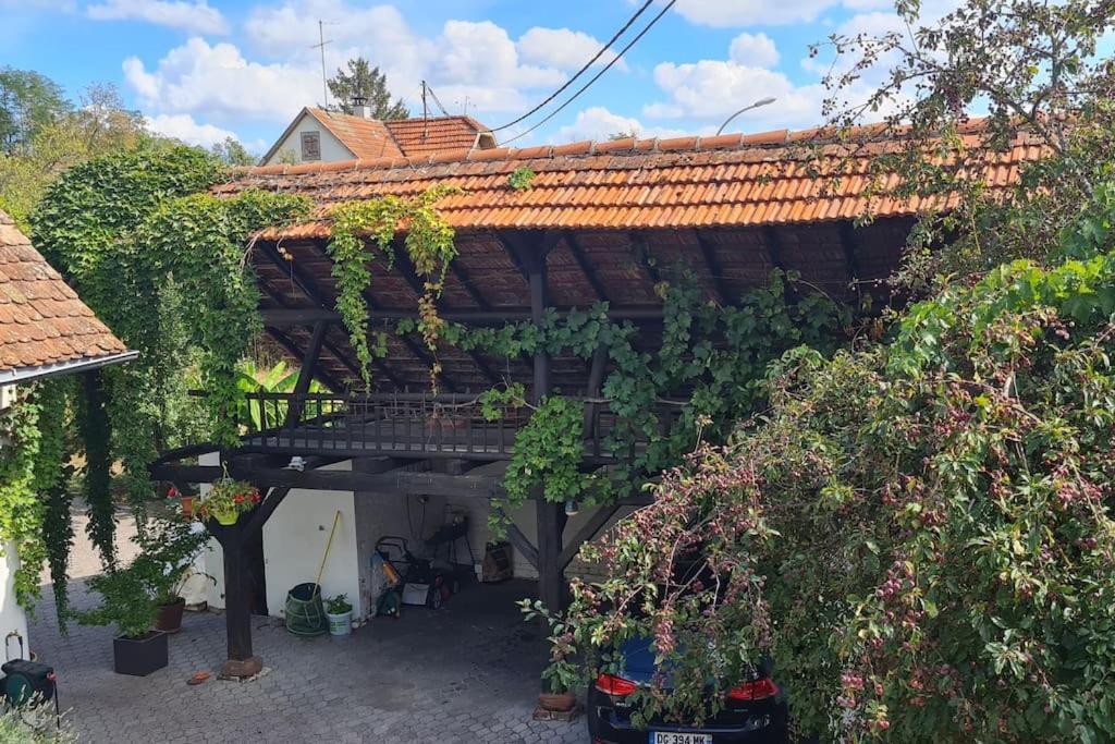 Apartment Alsace Bas-rhin Logis Independant Avec Piscine Privee *